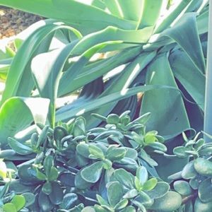 Meet your Posher, Avery